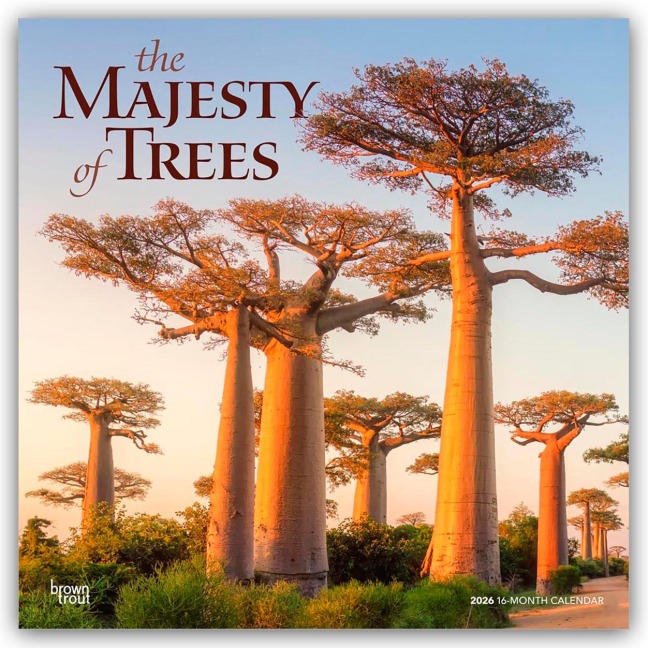 The Majesty of Trees - Die Erhabenheit der Bäume 2026 - 16-Monatskalender - Browntrout Publishers