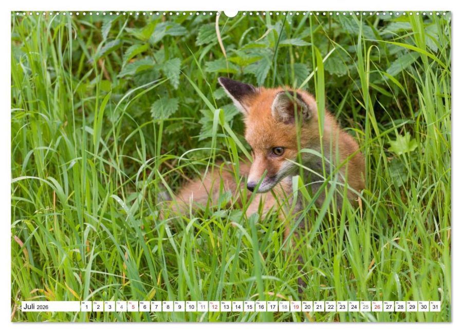 InsideView 12