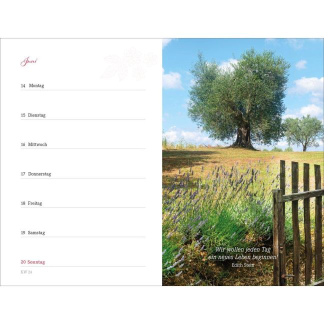 InsideView 14