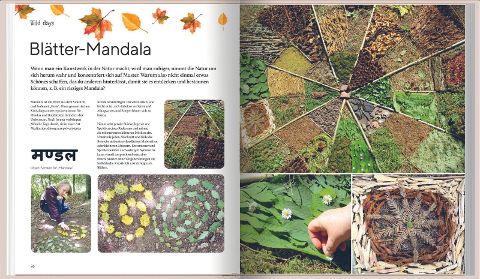 InsideView 11