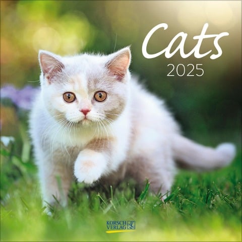 Cats 2025 - 