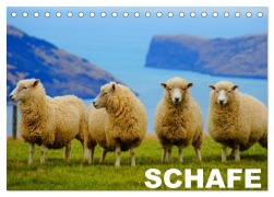 Cover-Bild zum Titel 'Schafe / Geburtstagskalender (Tischkalender 2026 DIN A5 quer), CALVENDO Monatskalender' von 'Elisabeth Stanzer'