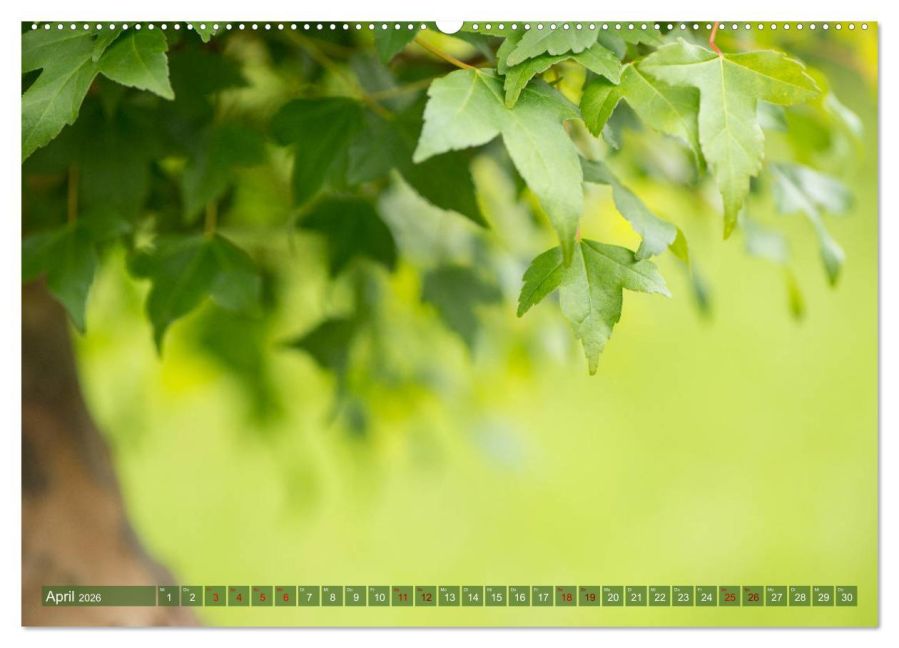 InsideView 9