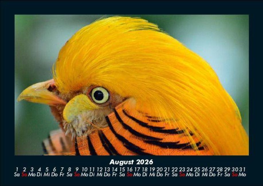 InsideView 12