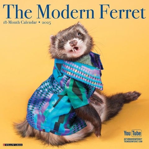 Modern Ferret 2025 12 X 12 Wall Calendar - 