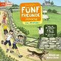 Cover-Bild zum Titel 'Fünf Freunde JUNIOR - Drei Abenteuer - Timmy, der Meisterdetektiv. Gefahr auf den Klippen. Das Geburtstags-Abenteuer' von 'Enid Blyton'