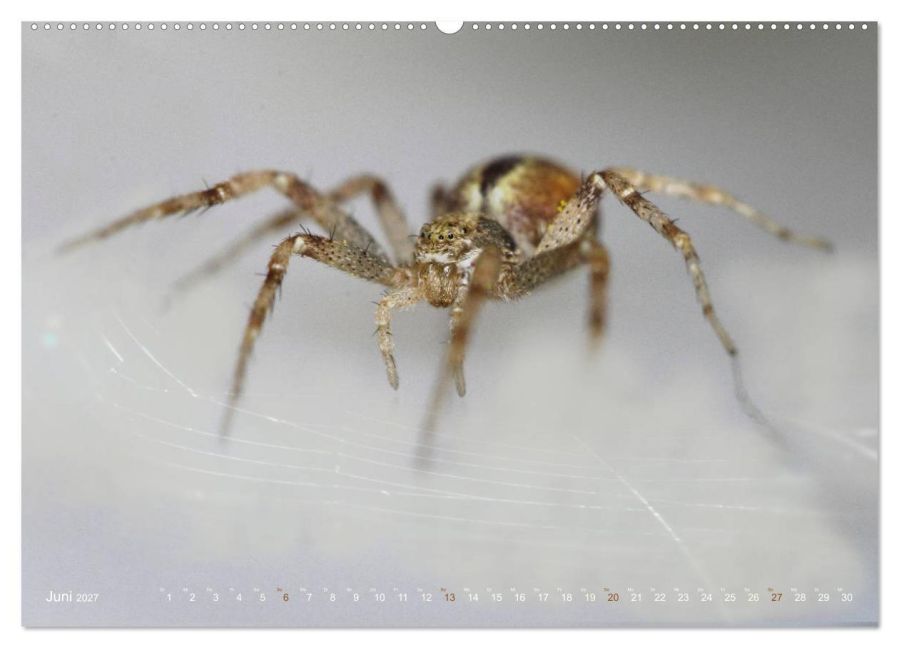 InsideView 11