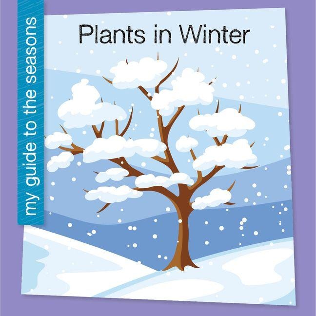 Plants in Winter - Rebecca Felix