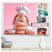 Cover-Bild zum Titel 'KANINCHEN Mit Humor durchs Jahr (hochwertiger Premium Wandkalender 2026 DIN A2 quer), Kunstdruck in Hochglanz' von 'Melanie Viola'