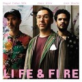 Cover-Bild zum Titel 'Life & Fire' von 'Omer/Cohen-Milo Klein'