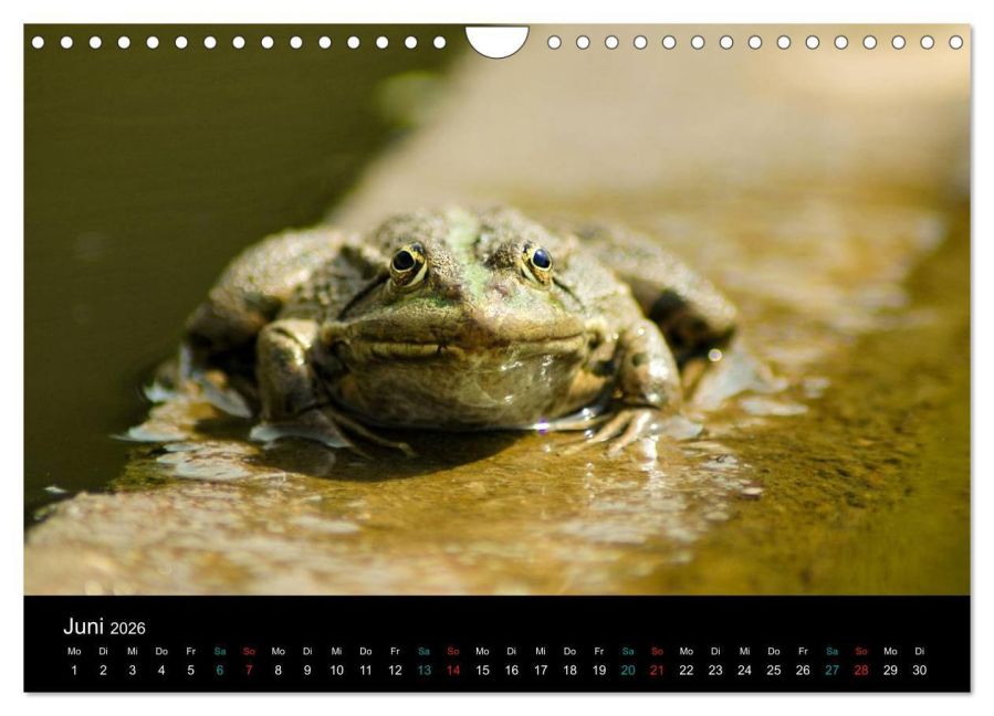 InsideView 11