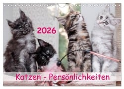 Cover-Bild zum Titel 'Katzen Persönlichkeiten 2026 (Wandkalender 2026 DIN A4 quer), CALVENDO Monatskalender' von 'Patrick Rüberg'