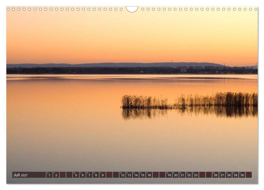 InsideView 12