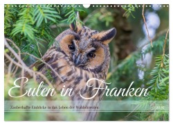 Cover-Bild zum Titel 'Eulen in Franken (Wandkalender 2026 DIN A3 quer), CALVENDO Monatskalender' von 'Jennifer Hetzel'