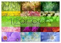 12 Farben (Wandkalender 2025 DIN A2 quer), CALVENDO Monatskalender - Martina Cross