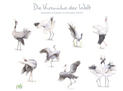 Cover-Bild zum Titel 'Die Kraniche der Welt' von 'Christopher Schmidt'