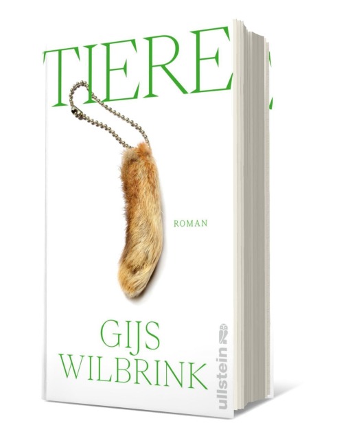 Gijs Wilbrink