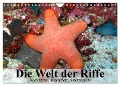 Die Welt der Riffe. Seesterne, Korallen, Anemonen (Wandkalender 2024 DIN A4 quer), CALVENDO Monatskalender - Elisabeth Stanzer