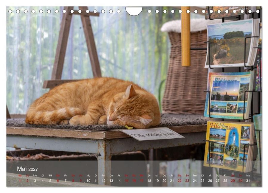 InsideView 10