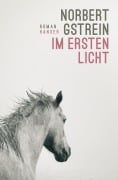 Cover-Bild zum Titel 'Im ersten Licht' von 'Norbert Gstrein'