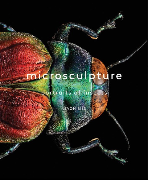 Microsculpture - Levon Biss