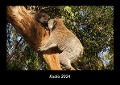 Koala 2024 Fotokalender DIN A3 - Tobias Becker