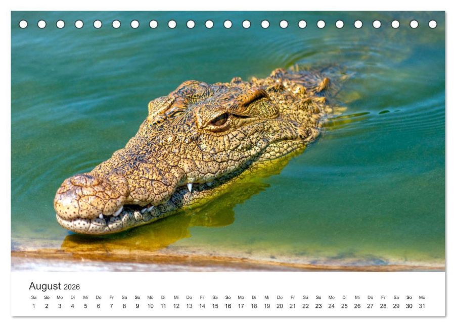 InsideView 13