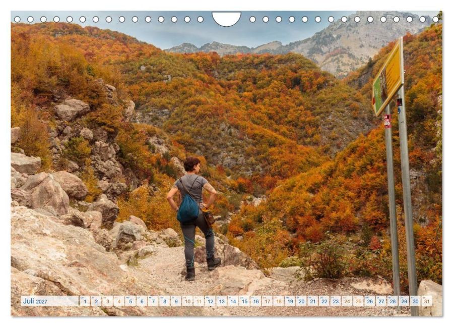 InsideView 12