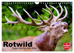 Cover-Bild zum Titel 'Rotwild. Edle Hirsche, stolze Kühe (Wandkalender 2026 DIN A4 quer), CALVENDO Monatskalender' von 'Elisabeth Stanzer'