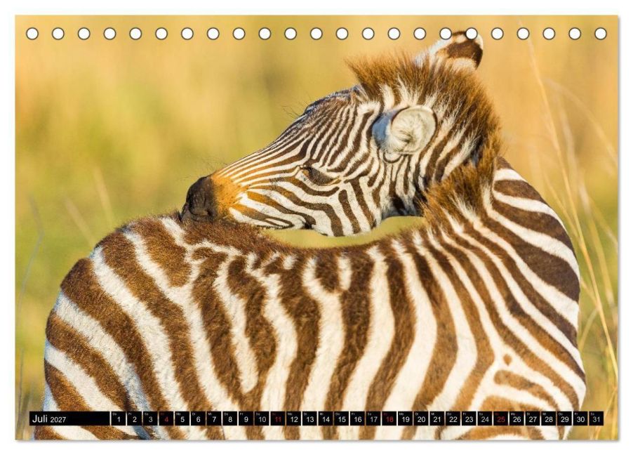 InsideView 12