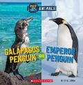 Galapagos Penguin or Emperor Penguin (Wild World: Hot and Cold Animals) - Eric Geron