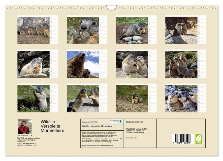 InsideView 5