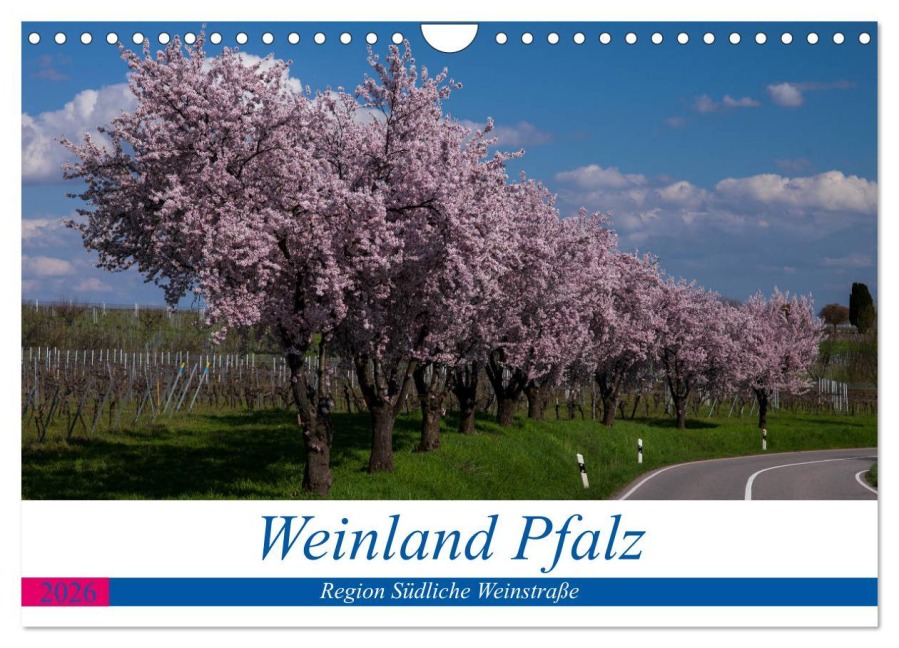 Weinland Pfalz - Region Südliche Weinstraße (Wandkalender 2026 DIN A4 quer), CALVENDO Monatskalender - Photographie By Franz Tangermann
