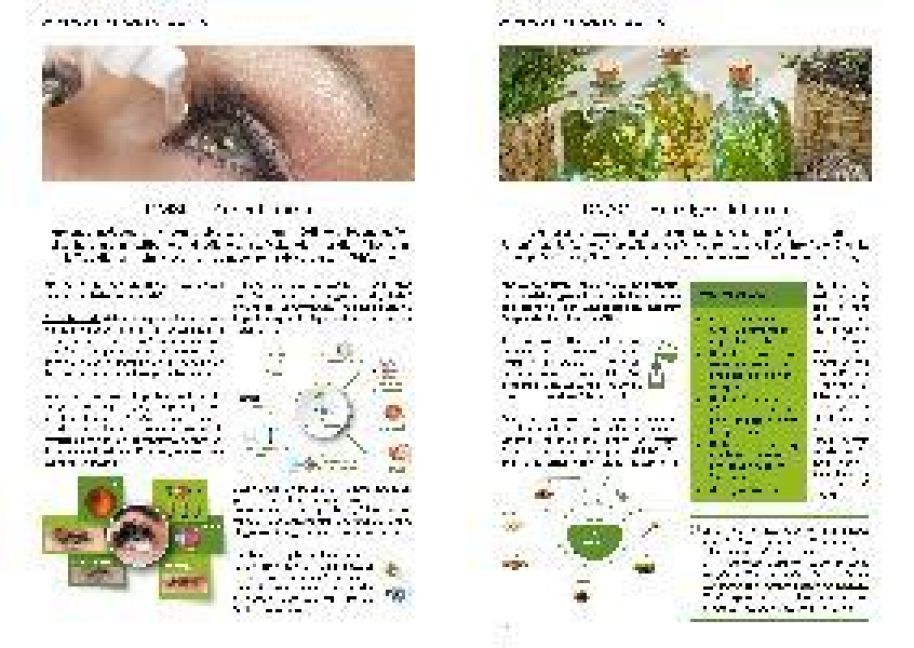 InsideView 9