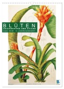 Cover-Bild zum Titel 'Blüten: Zeichnungen und Stiche aus dem 19. Jahrhundert (Wandkalender 2026 DIN A3 hoch), CALVENDO Monatskalender' von 'Calvendo Calvendo'