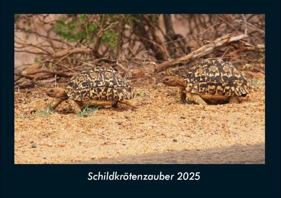 Schildkrötenzauber 2025 Fotokalender DIN A4 - Tobias Becker