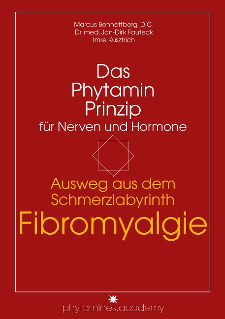 Ausweg aus dem Schmerzlabyrinth Fibromyalgie - Marcus Bennettberg D. C., Jan-Dirk Fauteck, Imre Kusztrich