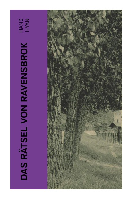 Das Rätsel von Ravensbrok - Hans Hyan