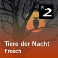 Cover-Bild zum Titel 'Tiere der Nacht: Frosch' von 'Silke Wolfrum'