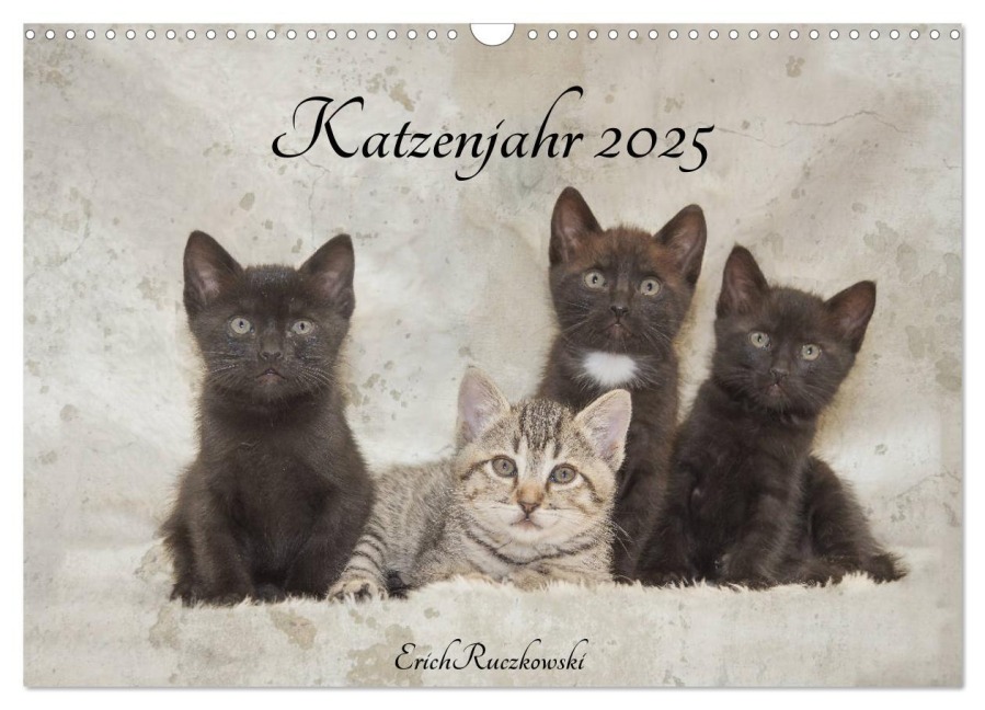 Katzenjahr 2025 (Wandkalender 2025 DIN A3 quer), CALVENDO Monatskalender - Erich Ruczkowski