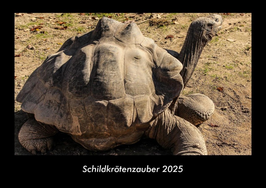 Schildkrötenzauber 2025 Fotokalender DIN A3 - Tobias Becker