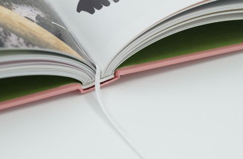 InsideView 4