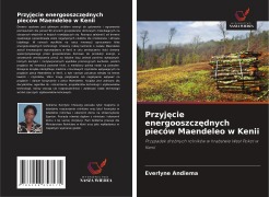 Cover-Bild zum Titel 'Przyj¿cie energooszcz¿dnych pieców Maendeleo w Kenii' von 'Everlyne Andiema'