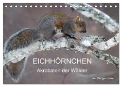 Cover-Bild zum Titel 'EICHHÖRNCHEN (Tischkalender 2026 DIN A5 quer), CALVENDO Monatskalender' von 'Philippe Henry'