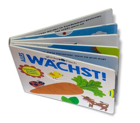 InsideView 13