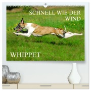 Cover-Bild zum Titel 'Schnell wie der Wind - Whippet (hochwertiger Premium Wandkalender 2026 DIN A2 quer), Kunstdruck in Hochglanz' von 'Sigrid Starick'