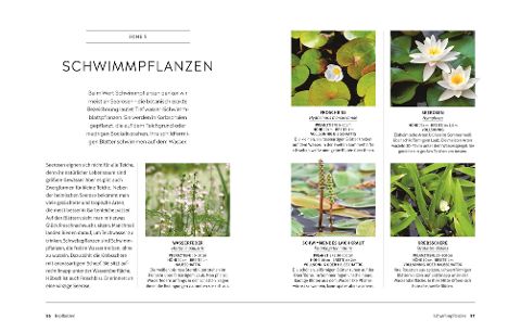 InsideView 7