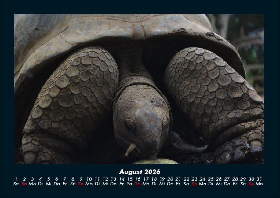 InsideView 12