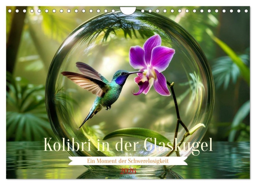 Kolibri in der Glaskugel (Wandkalender 2026 DIN A4 quer), CALVENDO Monatskalender - Torsten Irmer