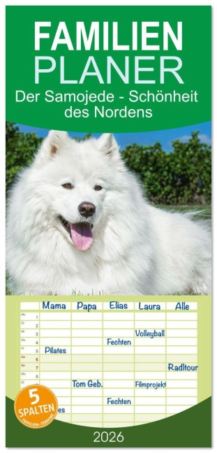 Familienplaner 2026 - Der Samojede - Schönheit des Nordens mit 5 Spalten (Wandkalender, 21 x 45 cm) CALVENDO - Sigrid Starick